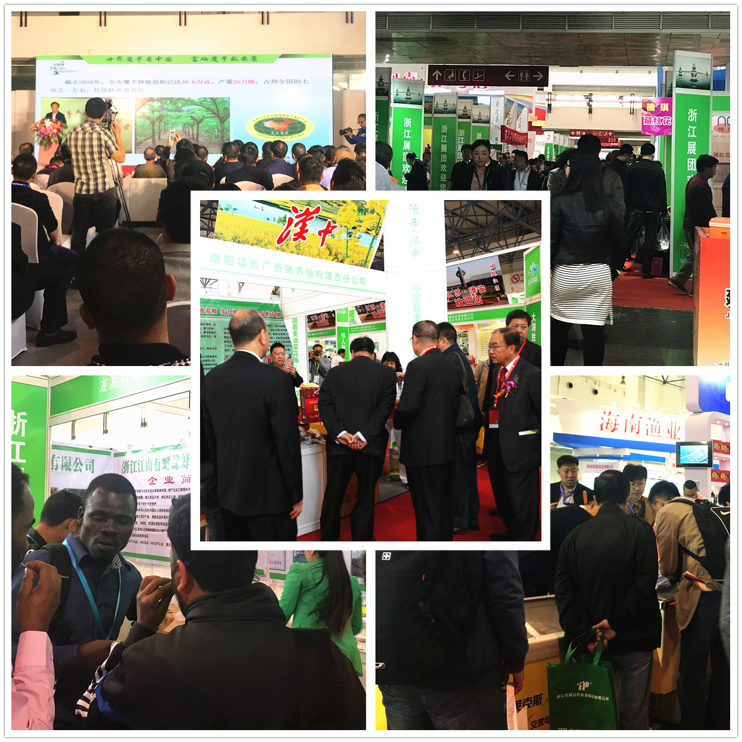 wspe5_2312/ueditor_img/1510021175.png wspe5_2312/ueditor_img/1510021175.png